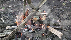 A small camp fire in the woods