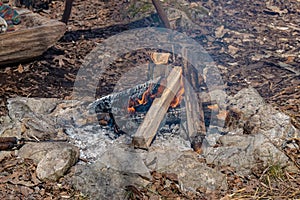 Small Campfire In Early Springtime