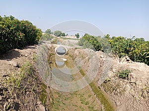 Small canal's constructed to supply water for agriculture in Pakistan