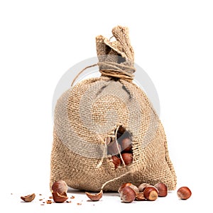 a small canvas bag, torn or gnawed, from which the hazelnuts fell out photo