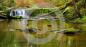 A small cascade along Whatcom creek in Bellingham, WA