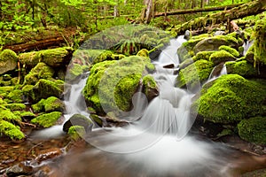 A small cascade flowing near Sol Duc Falls, Olympic National For