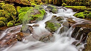 A small cascade flowing near Sol Duc Falls, Olympic National For