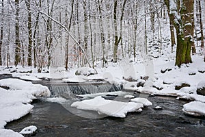 Small cascade on the forest creek in winter