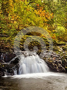 A small cascade in Silver Falls State Park in autumn, Oregon, US