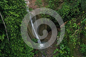 A small cascade surrounded by lush green in the Amazon of Ecuador