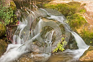 Small cascade in wild natural stream.