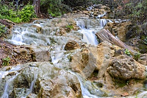 Small cascades of waterfalls on a mountain stream in the spring. Parod River. Israel