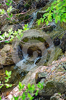 Small Cascading Mountain Stream