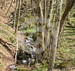 Small Cascading Mountain Waterfalls in the Woods