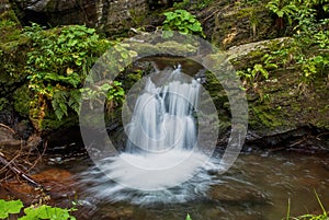 Small cascading waterfall in lush forest