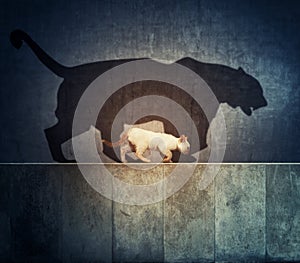 A small cat and a big tiger