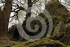 A small cave in the park of Snowdonia