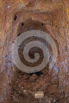 Small Cave where Bats Live