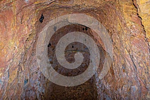 Small Cave where Bats Live