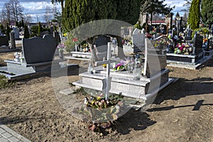 A small cemetery in the countryside with visible tombstones and a small, white wooden cross on a sunny day with a cloudy sky.