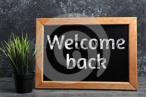 Small chalkboard with phrase Welcome Back and houseplant on table photo