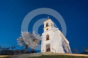 Small chapel with almond tree