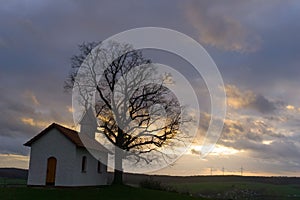 Small chapel next to an oak tree in front of sunset under cloudy sky