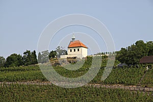 Small chapel and vineyard