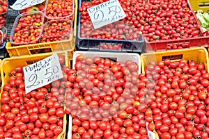 Small cherry tomatoes