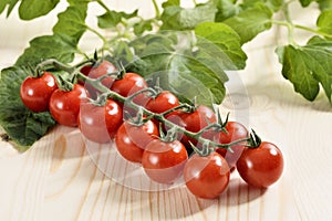 Small cherry Tomatoes