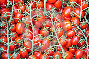Small cherry tomatoes for sale at a market