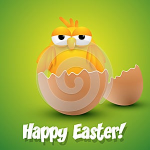 Small chick hatching from an egg