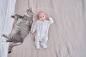 A small child boy is lying on the sofa next to a big cat. A newborn baby near a pet on the bed, copy space