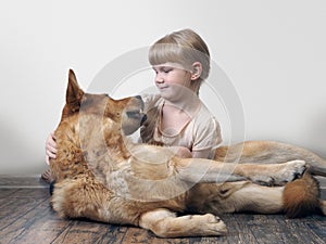 A small child deals with a huge dog