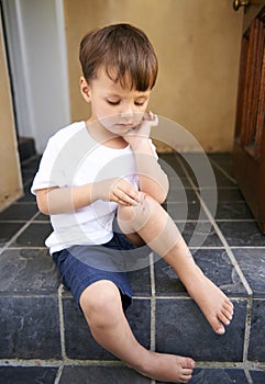 Small child, injured and bleed on knee from fall, scratch and youth in pain from bruise on leg. Young boy, sitting and