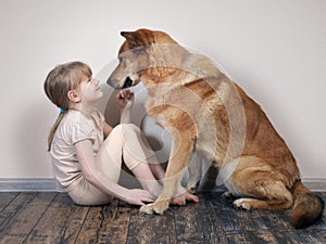 Small child and large dog