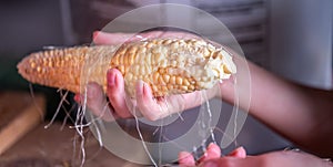 Small child learning to Shucking and tasseling sweet corn