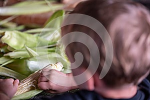 Small child learning to Shucking and tasseling sweet corn