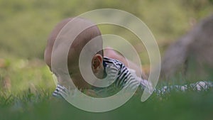 A small child lies on the grass grins and plays witht grass close-up