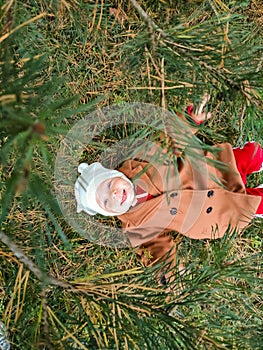 A small child lies on the ground and smiles. Top view. The concept of autumn leaves for children. A smile on a child