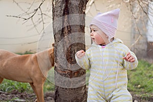 Small child playing peekaboo with dog