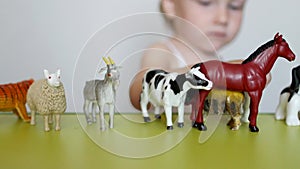 A small child plays animal life with learning toys, develops logic and motility, the ability to distinguish animals