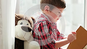 Small child reading book at home, smart kid sitting on window with fur to and reading fairy tales