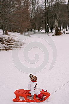 Small child rides in a sled on a snowy plain and looks at the trees