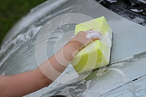 A small child`s hand with a foam sponge washes the hood of the car