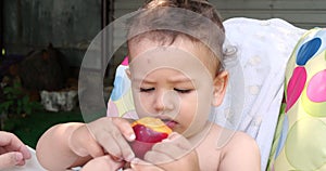 a small child sits on a baby feeding chair and eats a peach in the summer. Childhood concept. Close-up shot
