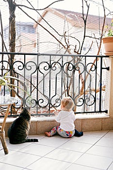 Small child sits on the balcony near the forged lattice and a table with flowerpots. A tabby cat sits next to him