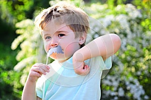 Small child with summer party moustache. Childhood happiness. Childrens day. Little boy child in green forest. spring