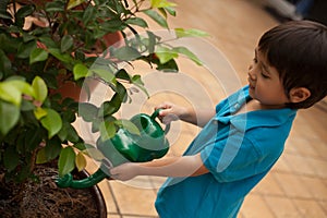 Small child watering potted plant