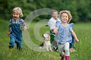 Small children with senior grandfather in wheelchair and dog on a walk on meadow in nature.