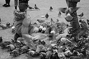 Small children on a winter day playing in a square in a European city. They enjoy chasing pigeons and feeding them