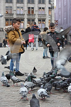 Small children on a winter day playing in a square in a European city. They enjoy chasing pigeons and feeding them