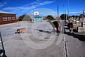 Small Chilean village basketball court