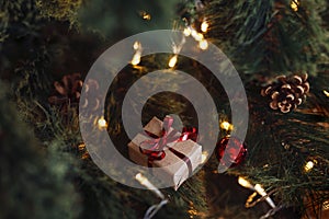 Small Christmas gift box on Christmas tree branches with cones and lights